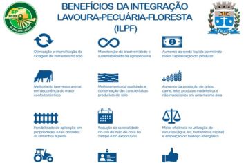BENEFÍCIOS DA INTEGRAÇÃO LAVOURA-PECUÁRIA-FLORESTA (ILPF)